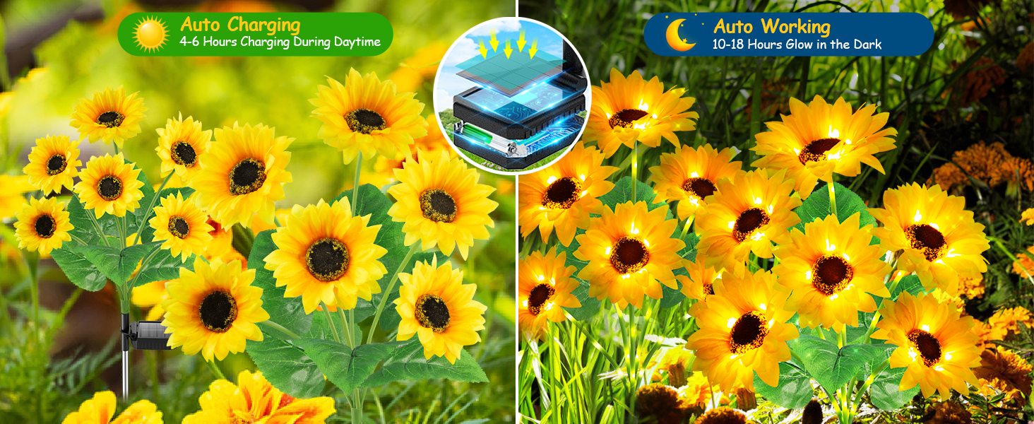 Sunflower Detail Display