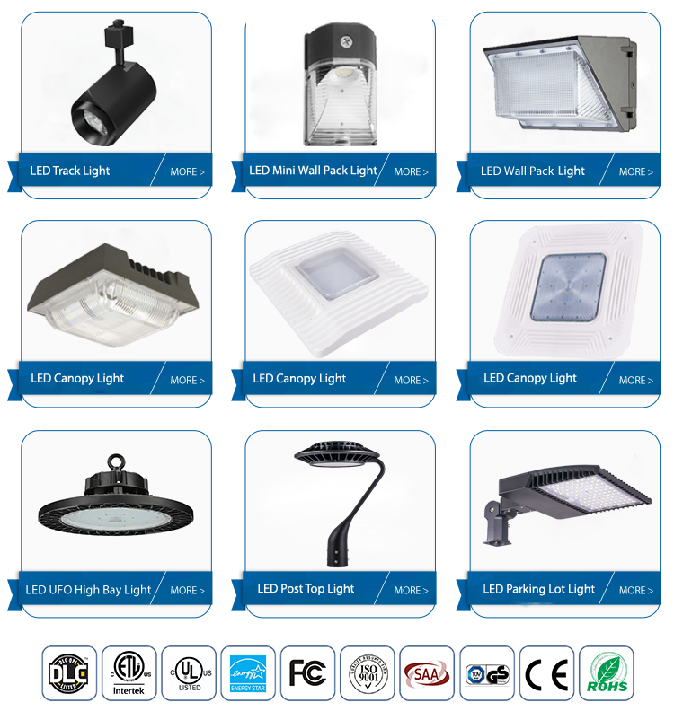 Related Lighting Products Portfolio