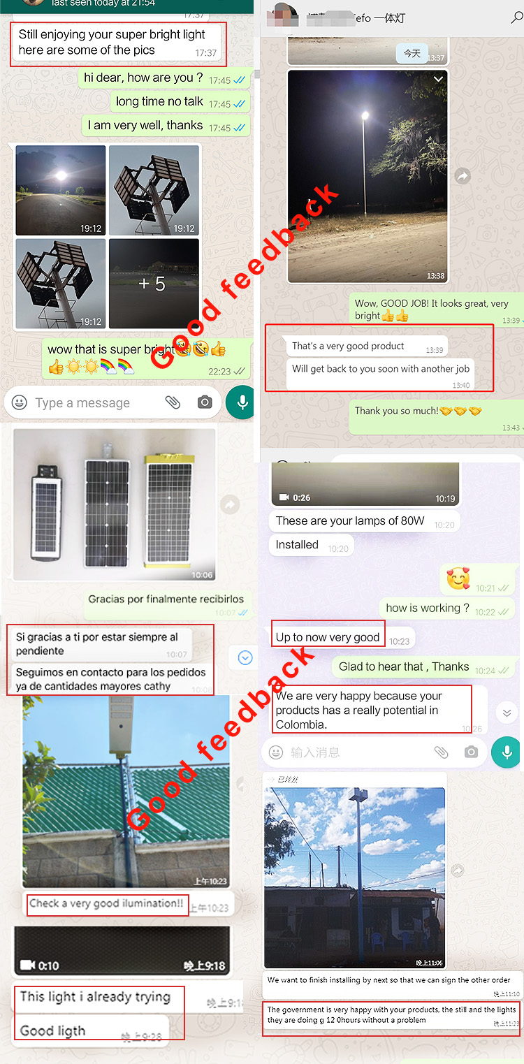 Buyer Reviews