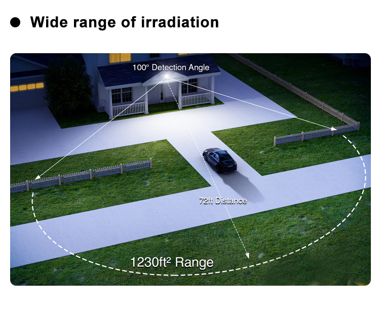 LED Lighting Product Display
