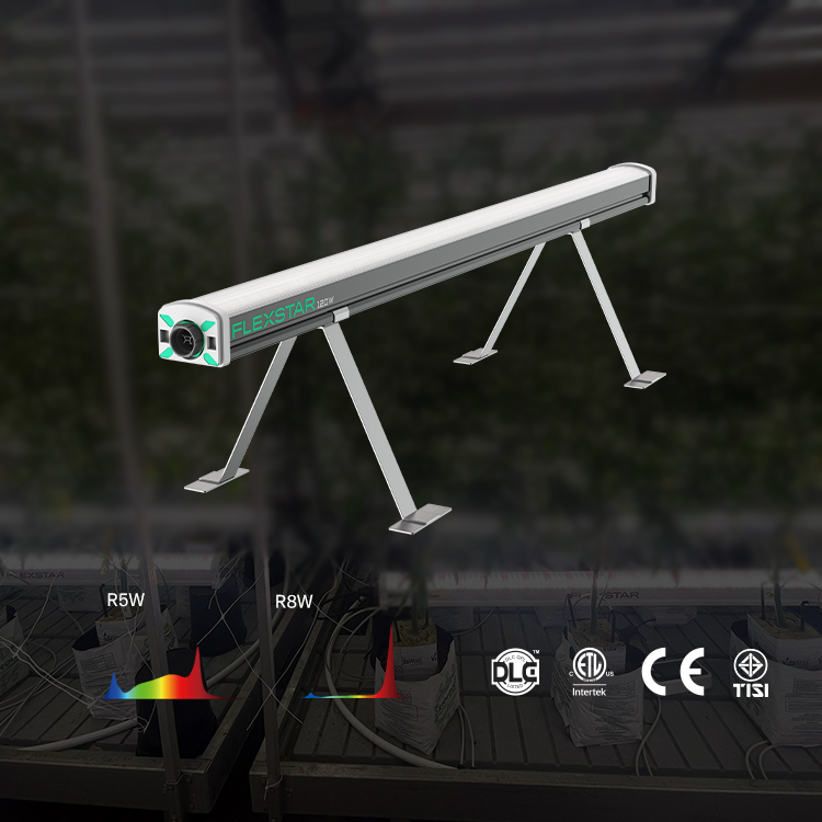 2025 Hot Sale Design R5 R8 Spectrum Maximum Yields Flexstar Under Canopy Led Grow Light