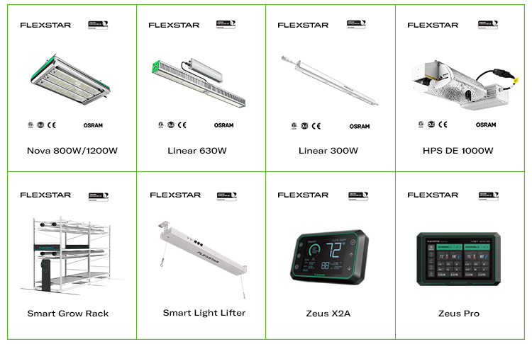 Related Product 2