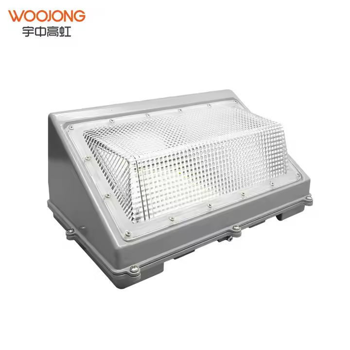 LED Wall Pack Light 100W Factory Direct Price Waterproof IP65 Outdoor Lighting for Garden Warehouse Farm Landscape Industrial