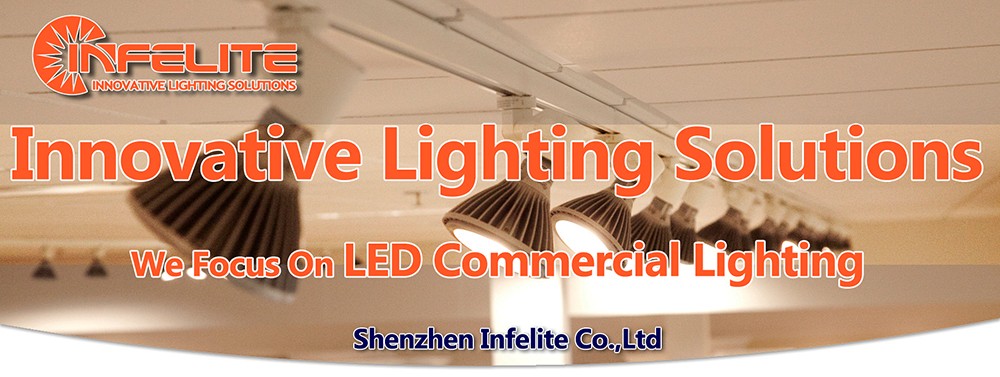Modular Adjustable LED Tunnel Floodlight Garden Flood Light