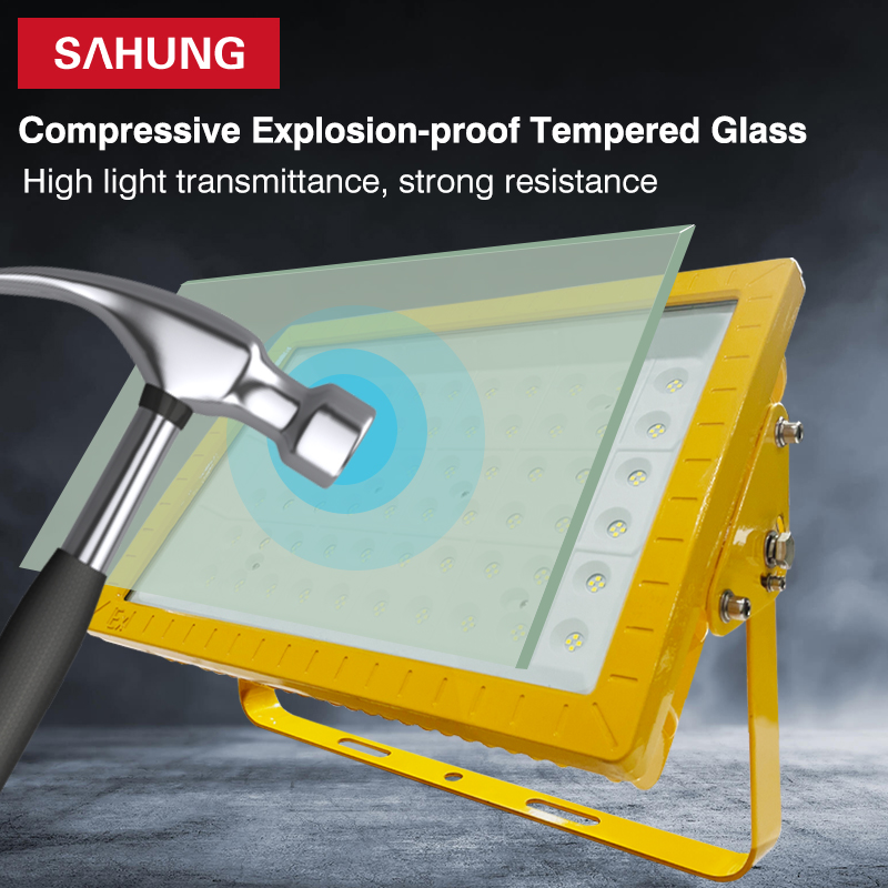 Factory Atex Certificate IP66 LED Explosion-Proof Light 50W-400W Ex IIC T4 5-Year Warranty