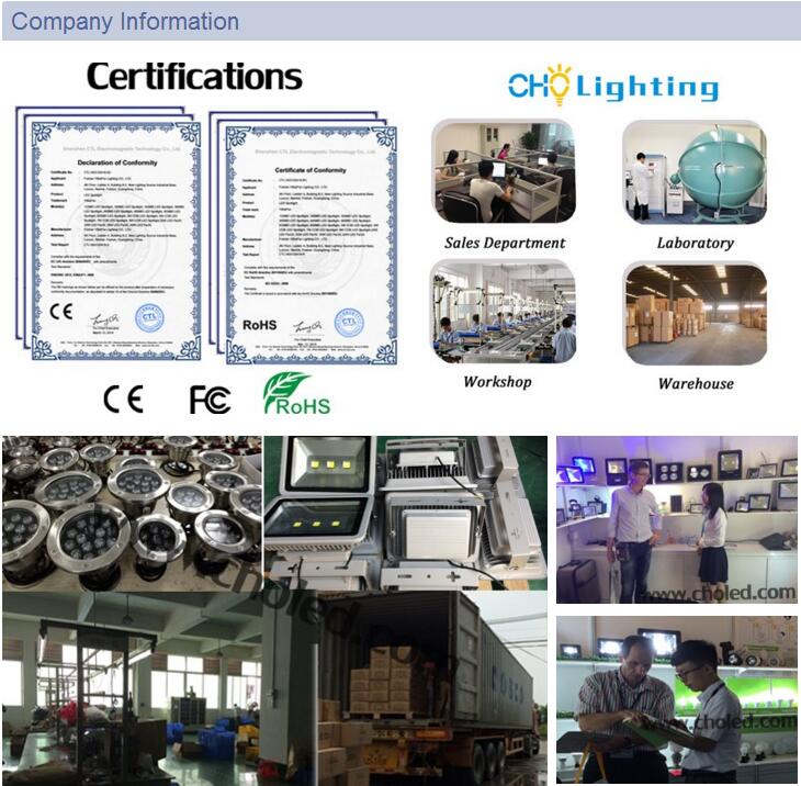 GU10 MR16 Garden Spike Light Application 4