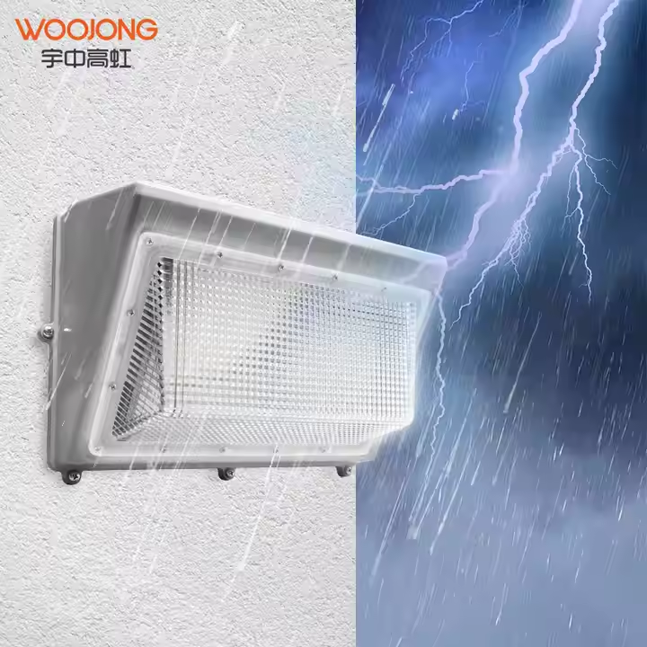 LED Wall Pack Light 100W Factory Direct Price Waterproof IP65 Outdoor Lighting for Garden Warehouse Farm Landscape Industrial