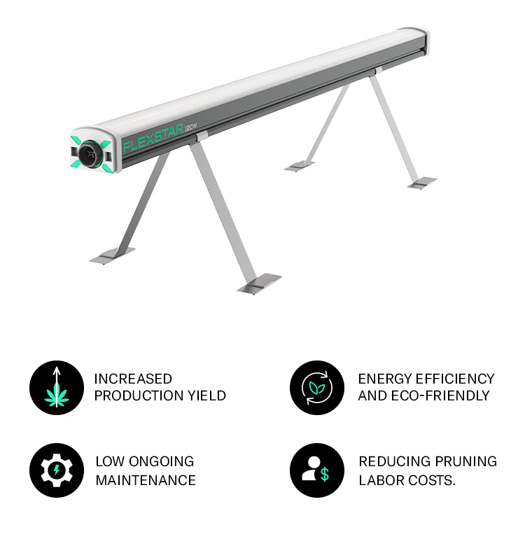 Product Detail 1