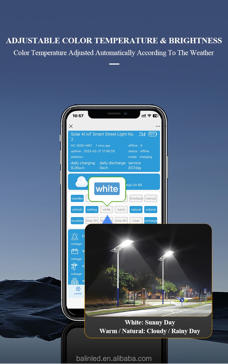 IP65 GPS External Battery Box Adjustable Brightness and Color Temperature AI IoT Solar LED Street Light
