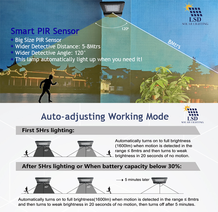 PIR Motion sensor