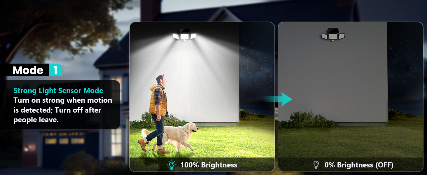 CXS Solar Outdoor Security Flood Lights Scene 4