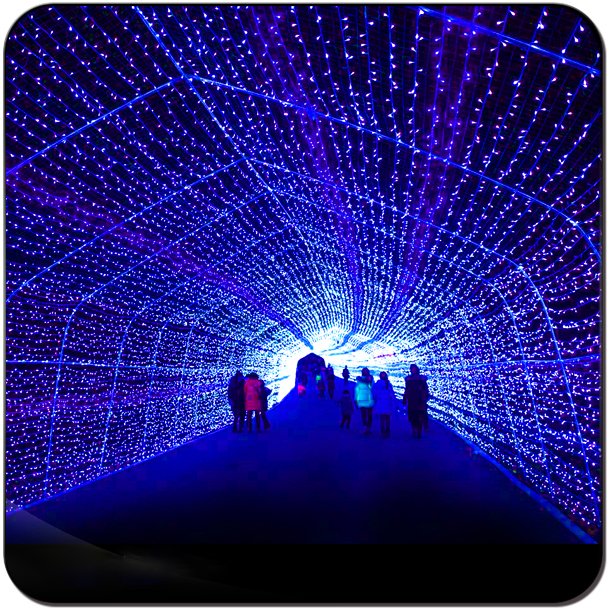 Festival Decoration Arch Lights Indoor and Outdoor Corridor Arched RGB Led Tunnel Light