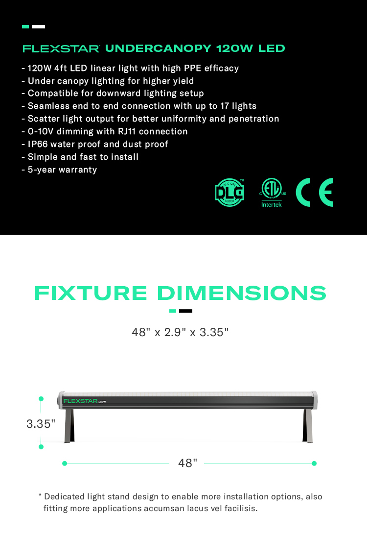 Product Detail 2
