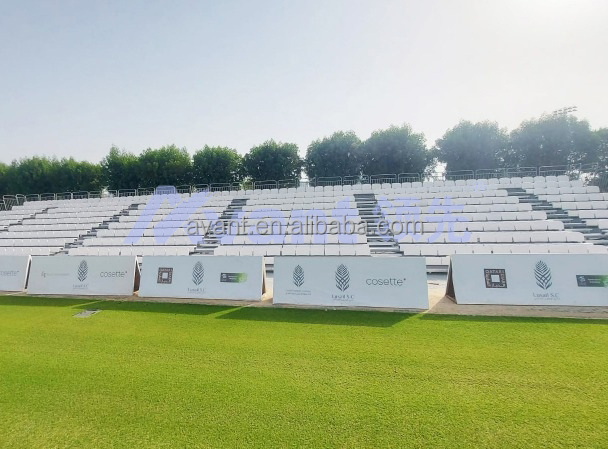 Stadium Seating Detail 2