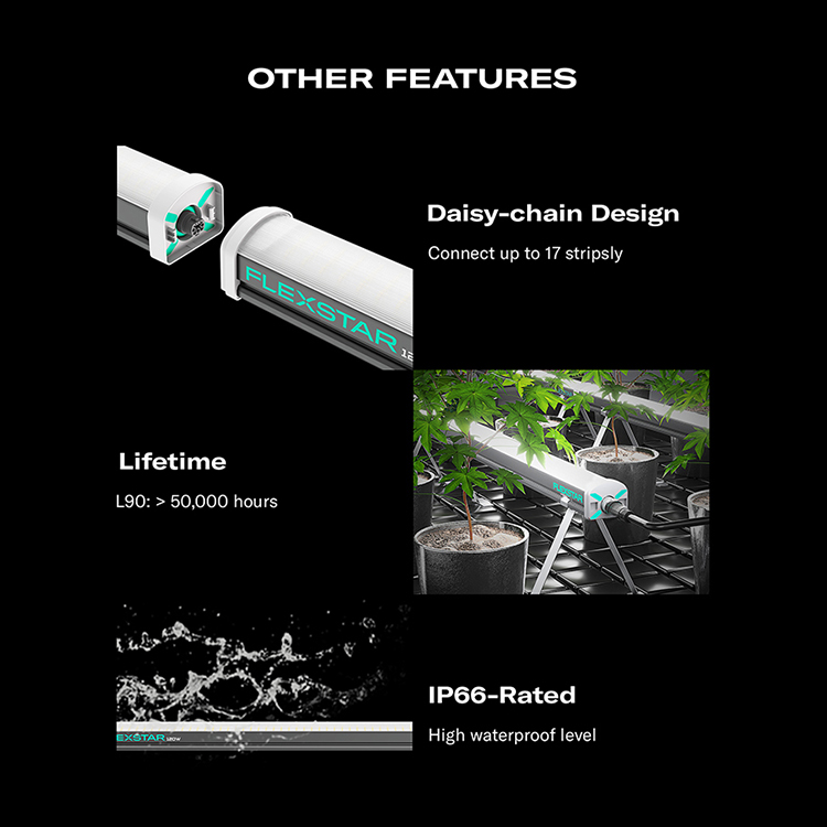 2025 Hot Sale Design R5 R8 Spectrum Maximum Yields Flexstar Under Canopy Led Grow Light