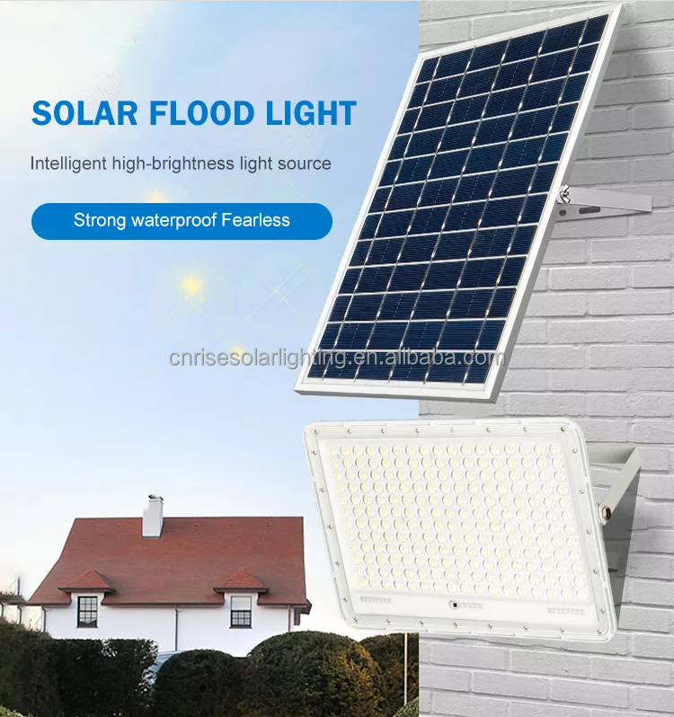 Solar Flood Light 1