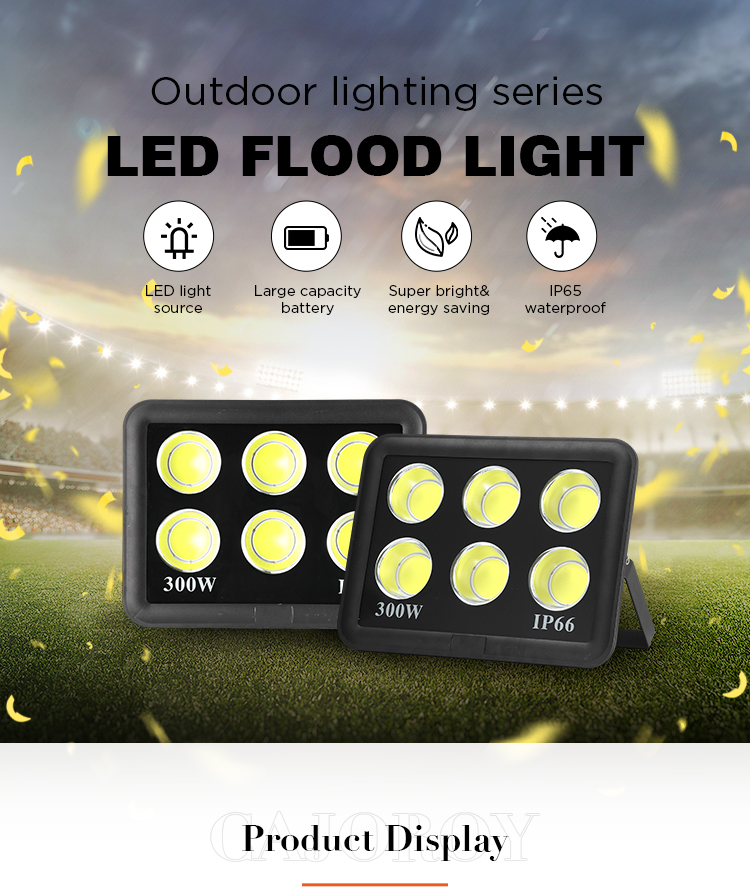 Solar Flood Light 1