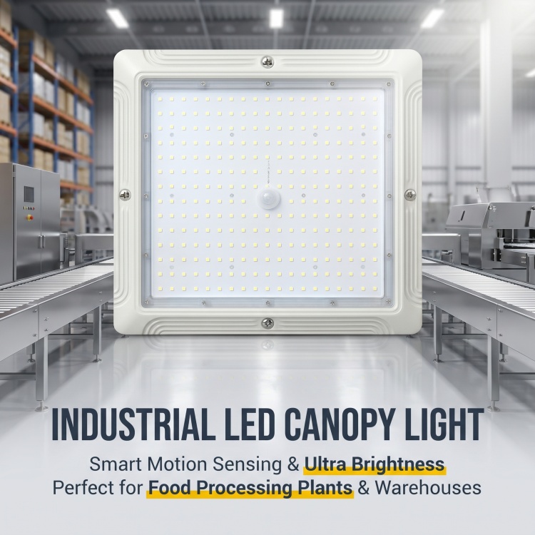 High Lumen 100W 150W 180W 200W LED Canopy Light Surface Mount for Gas Station Outdoor