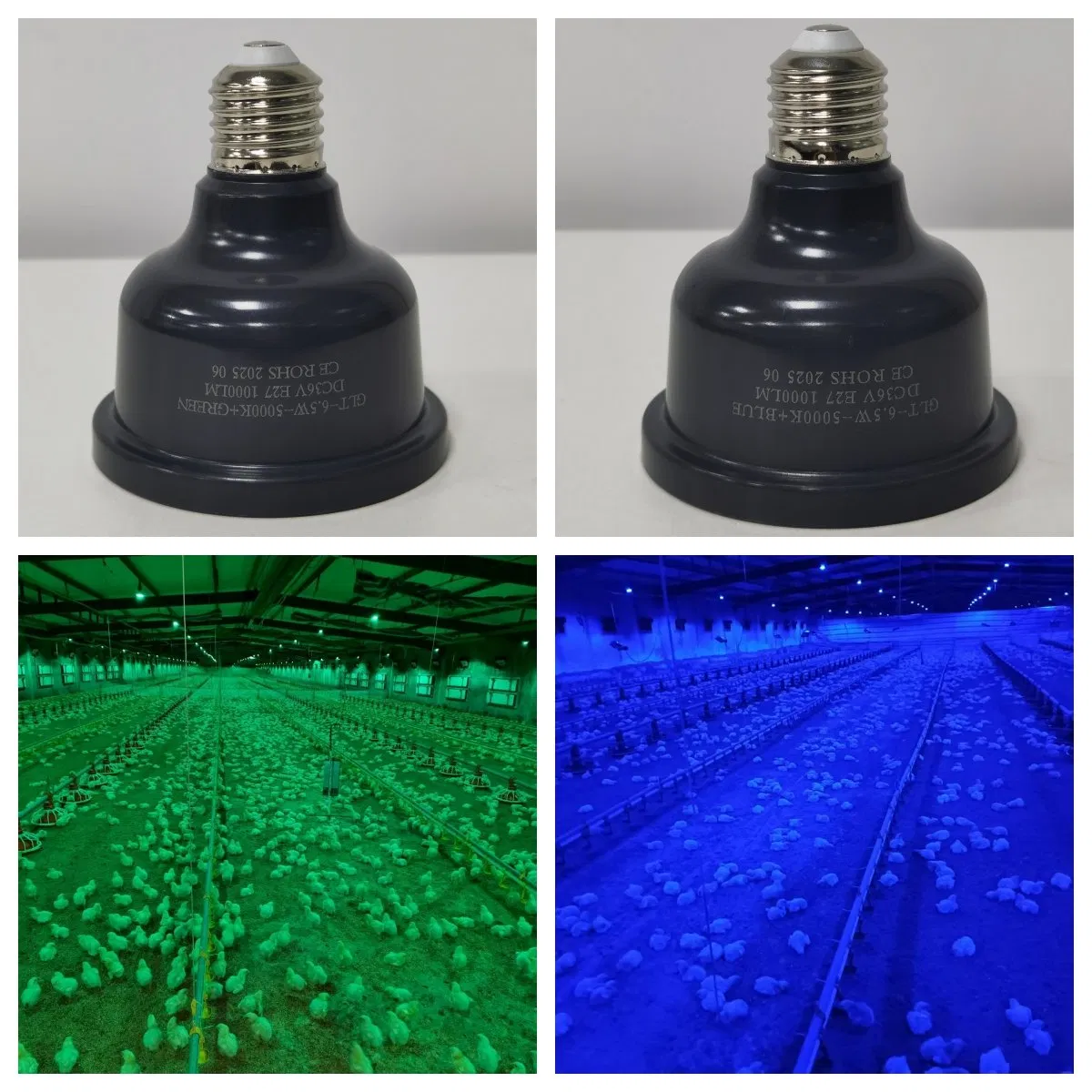 Safe Lighting Dimmable DC36V LED Poultry Light Bulb for Chicken Farm