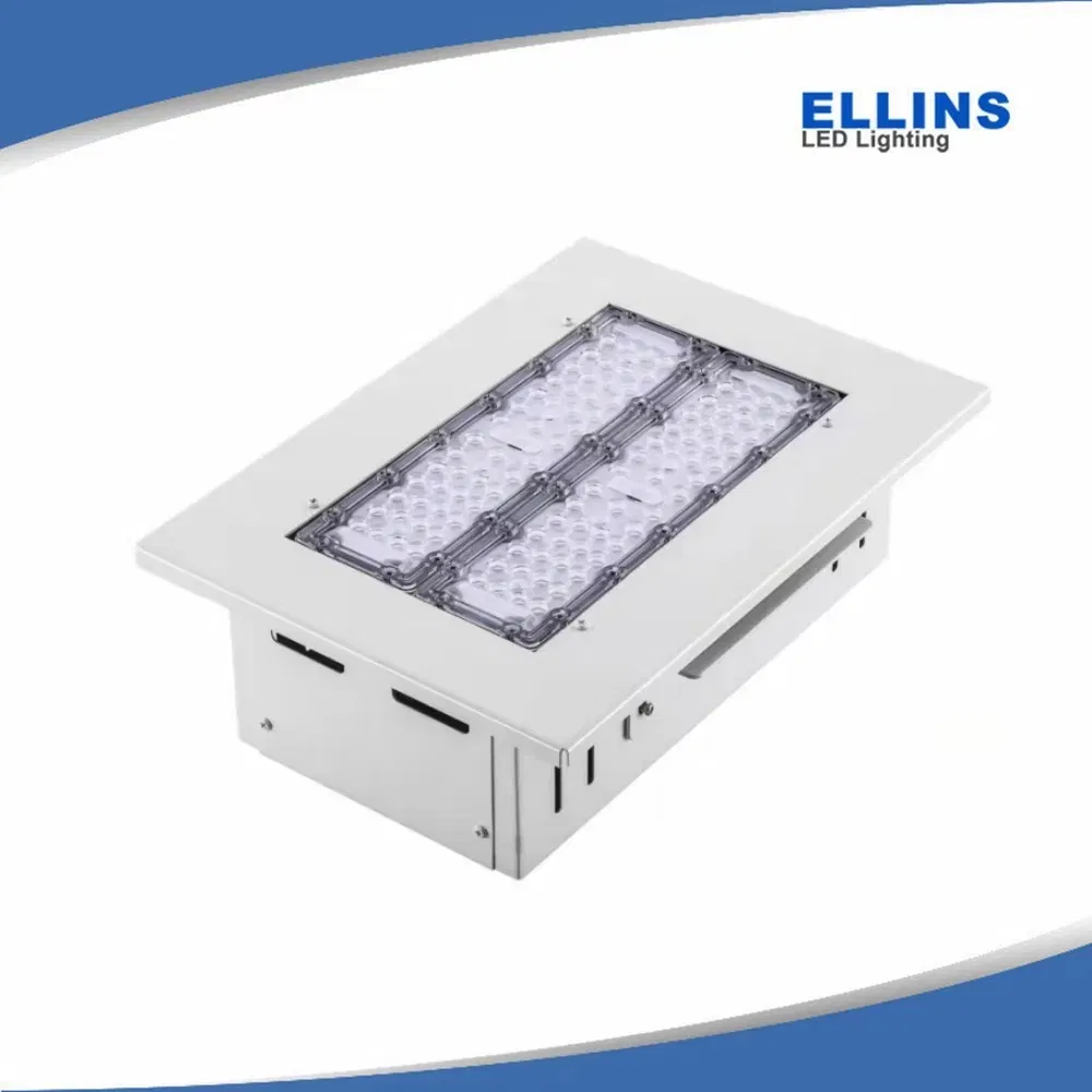 Waterproof IP66 Outdoor Ceiling Luminaires High Performance LED Canopy Lighting Fixtures 100W