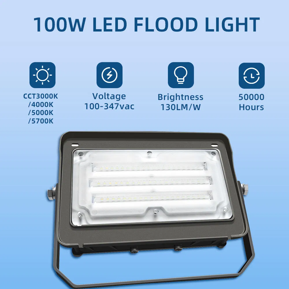 LED Flood Light 2