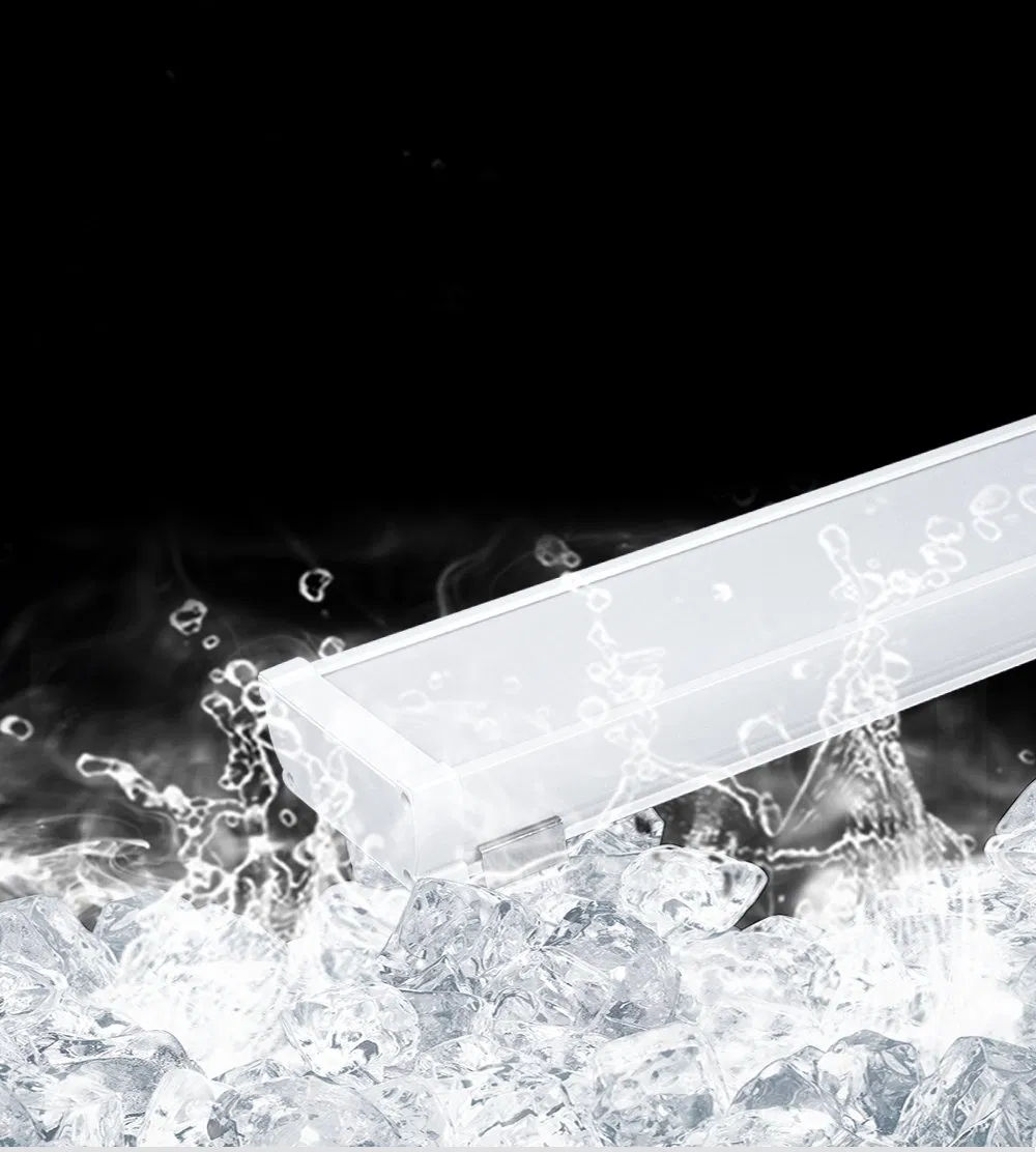 Industrial-Grade IP65 Tri-Proof LED Lighting for Food Safety