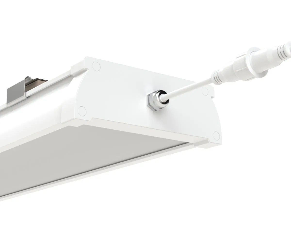Industrial-Grade IP65 Tri-Proof LED Lighting for Food Safety