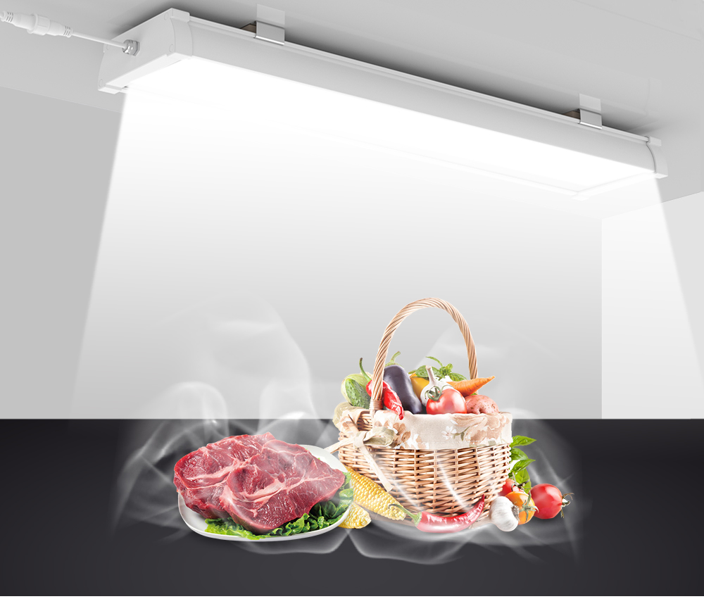 Industrial-Grade IP65 Tri-Proof LED Lighting for Food Safety