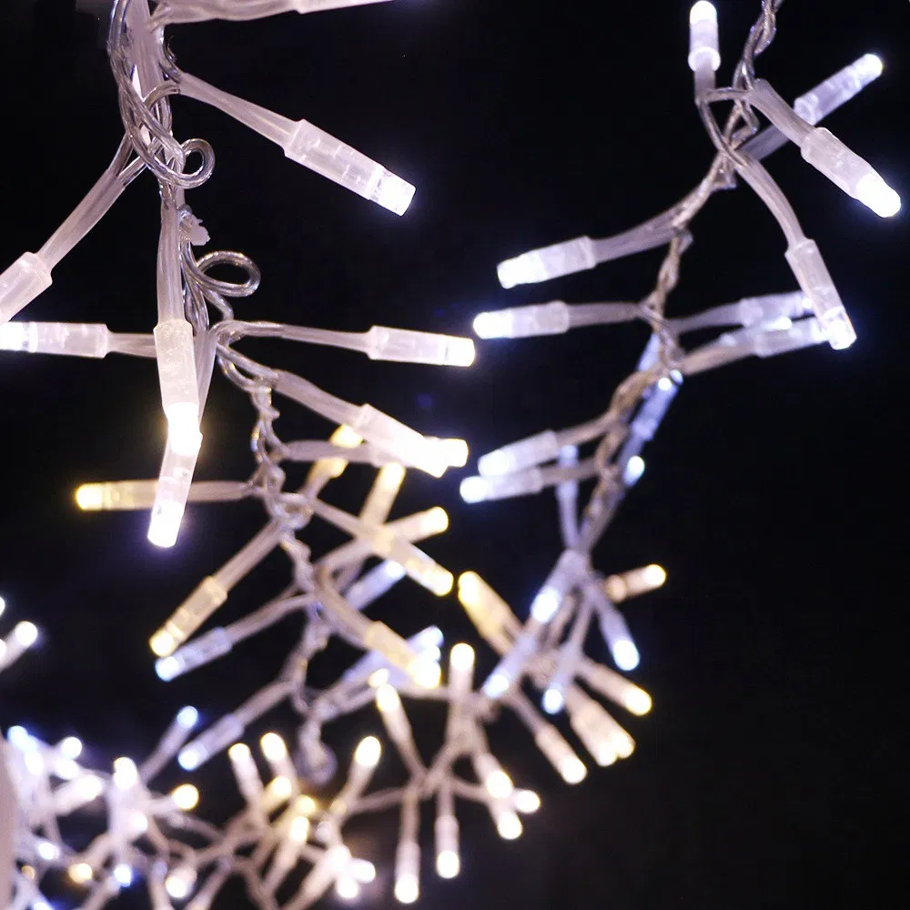 Decorative Lighting Detail 1