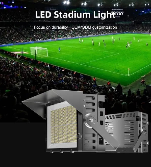 LED Flood Light 1
