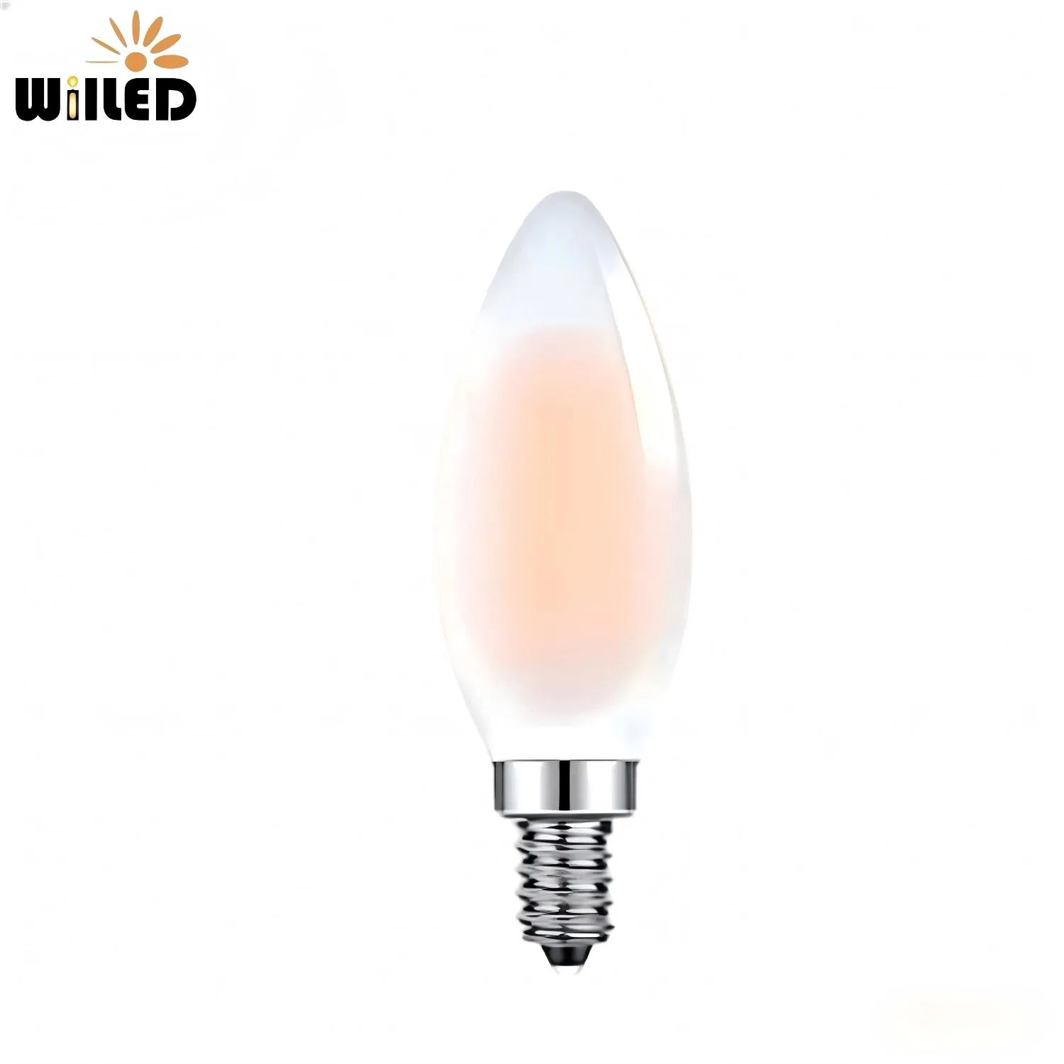 Edison Energy Saving Bulb
