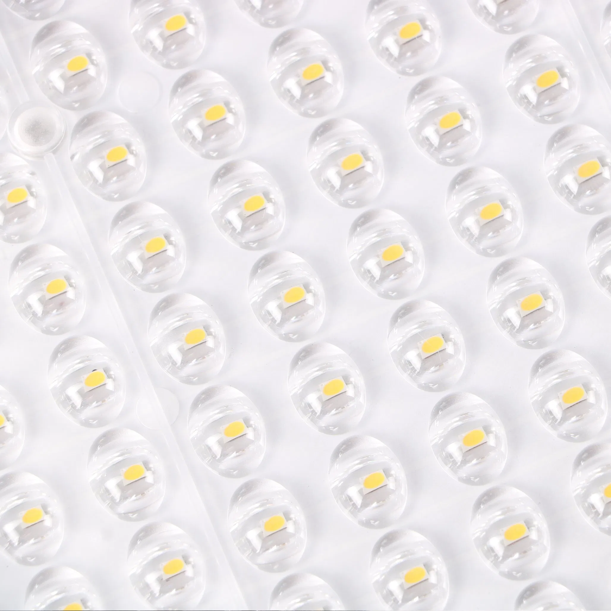 Energy-Efficient Outdoor Solar Lighting for Gardens and Walkways