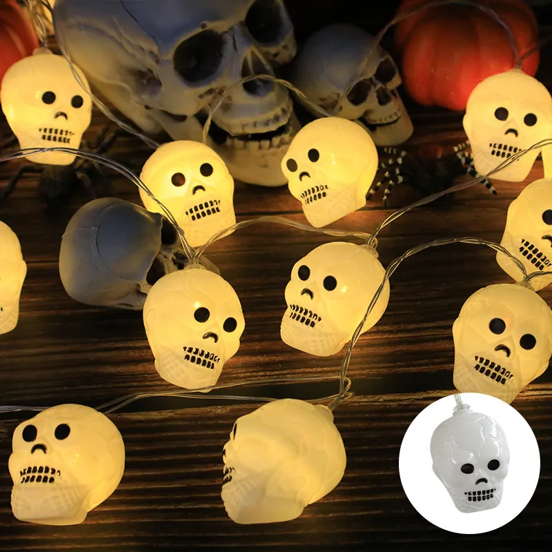 Detailed Skull Light View
