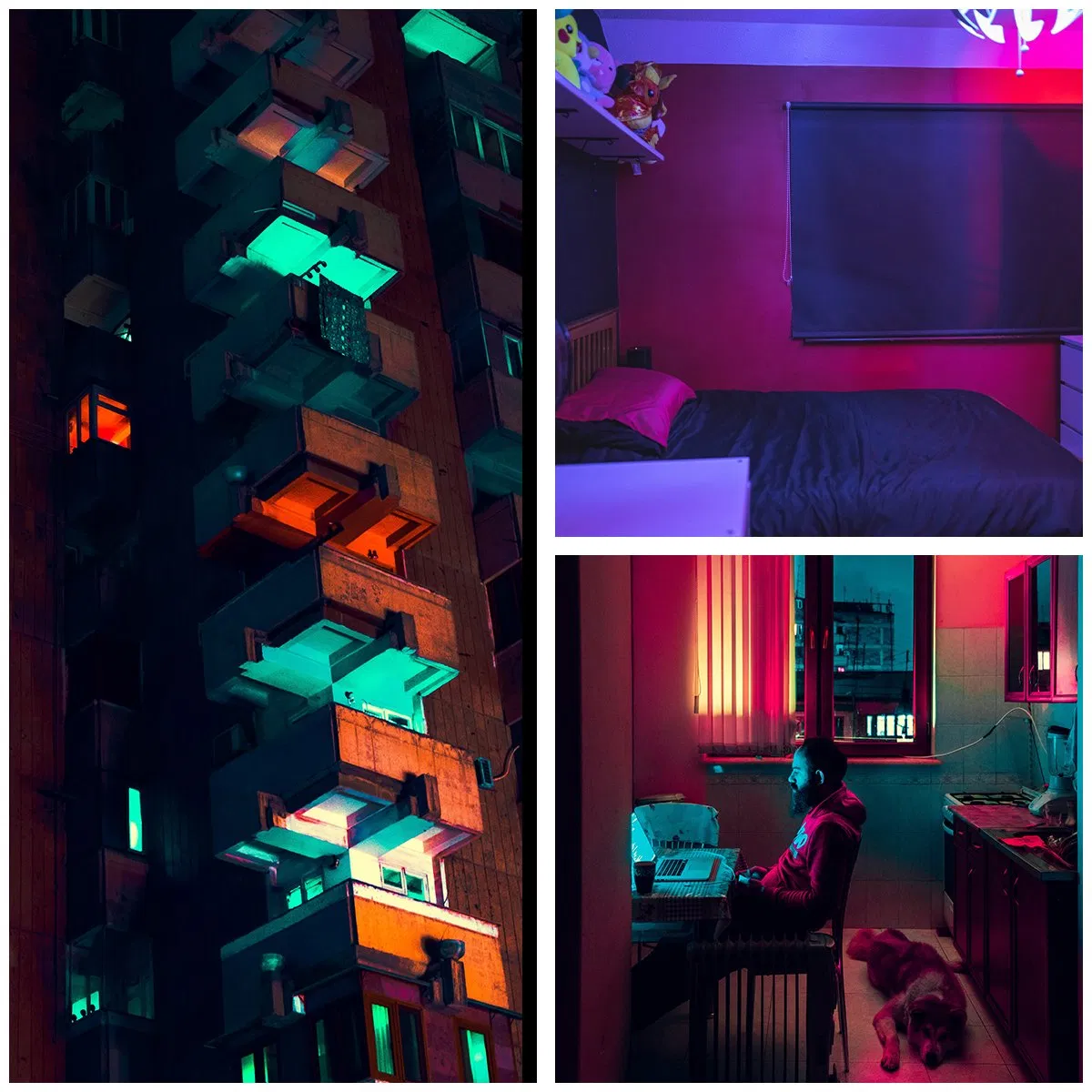 Amazon Zigbee WiFi Tuya Smart Bulb A60/C37/T37/GU10 RGB Colorful LED Lamp with Alexa and Google Home for Decoration Indoor Lighting CE&RoHS&ERP Approval