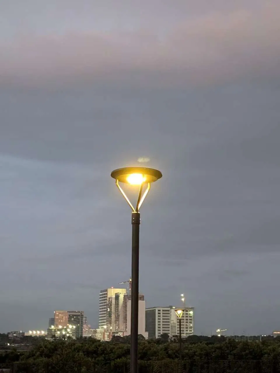 Ysd 10-60W Solar Yard Light Eco-Friendly Garden Lighting Solution