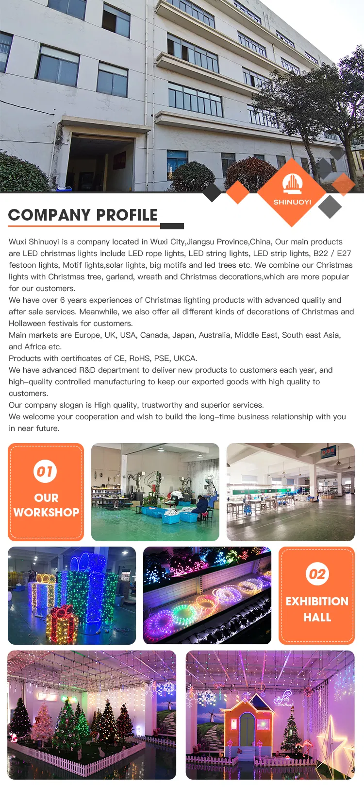 Decorative Lighting Detail 5