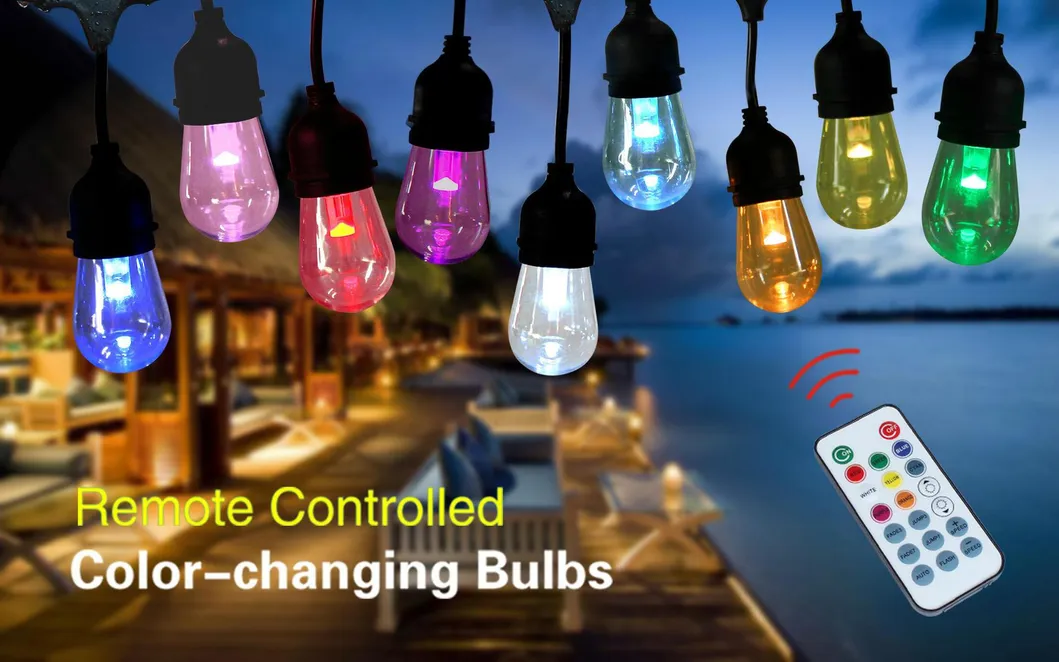 LED Outdoor RGBW String Light Display