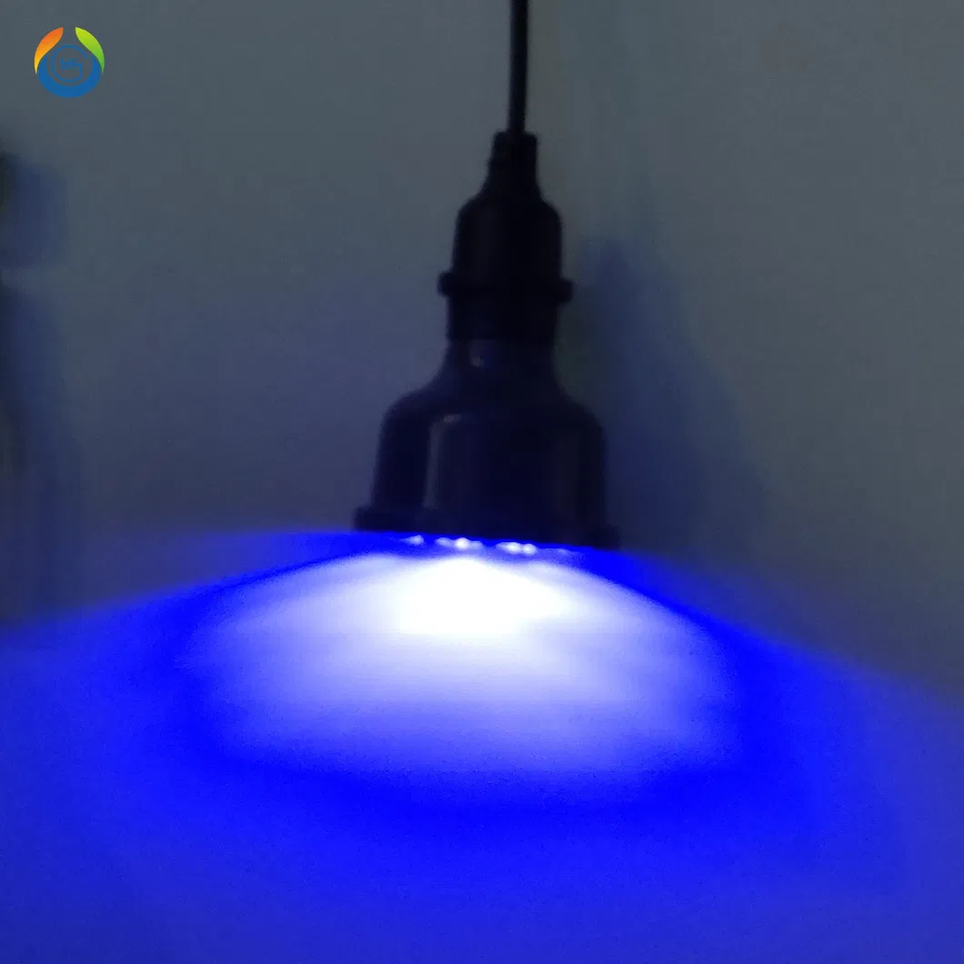 LED Bulb Spec