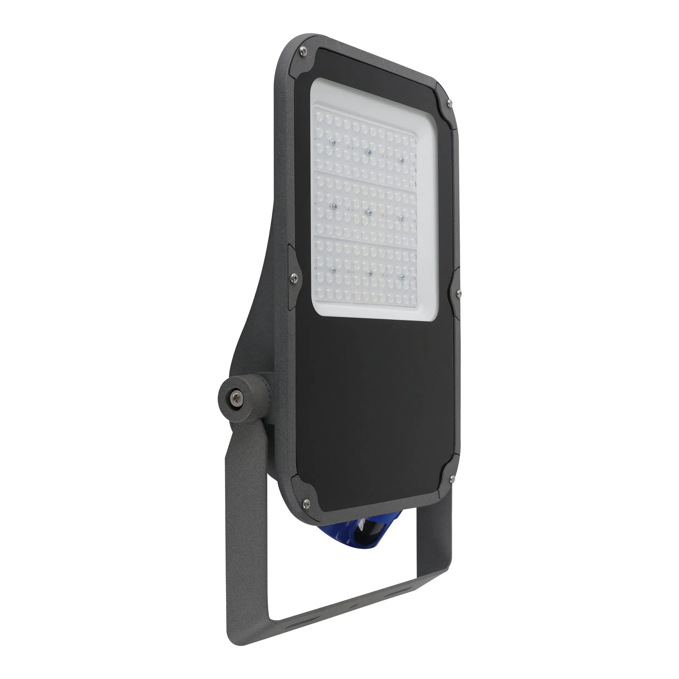 Outdoor Waterproof Lights Garden Yard Light Outside Park Landscape Lighting Spot 100W LED Flood Light