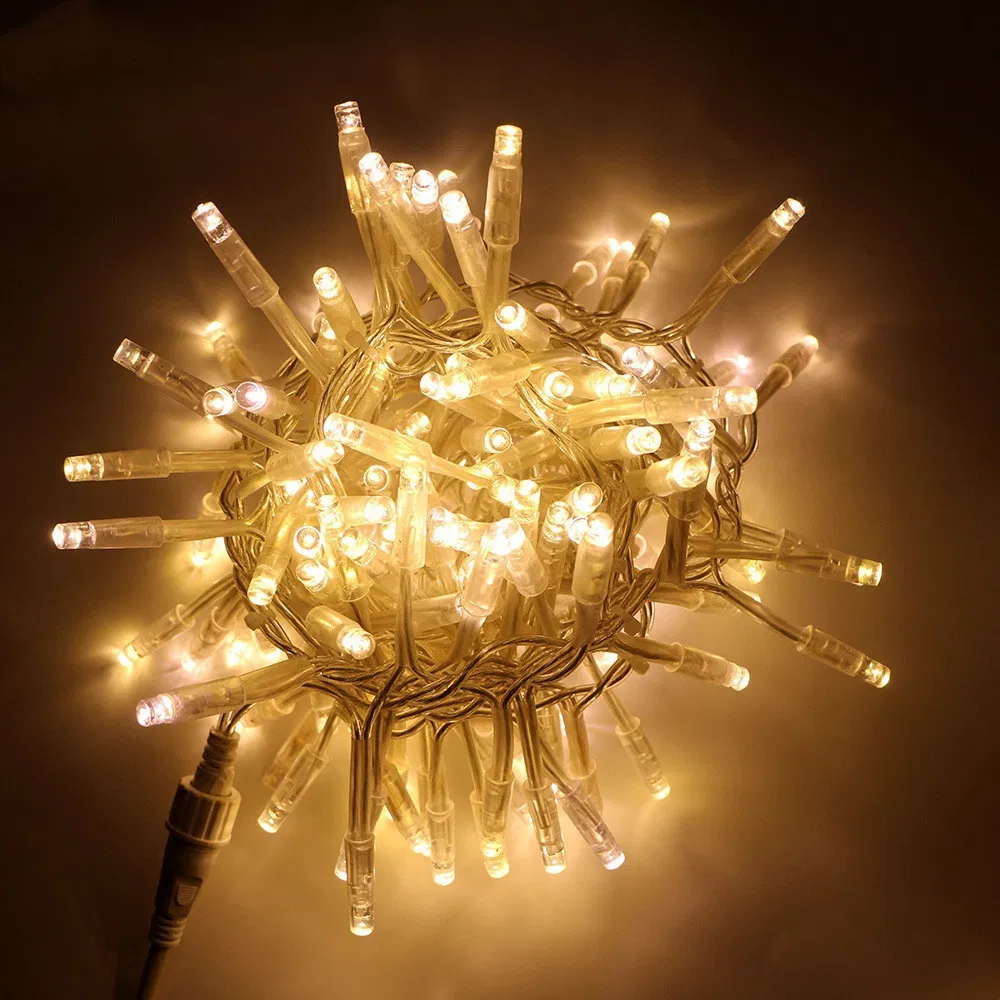 Decorative Lighting Detail 4