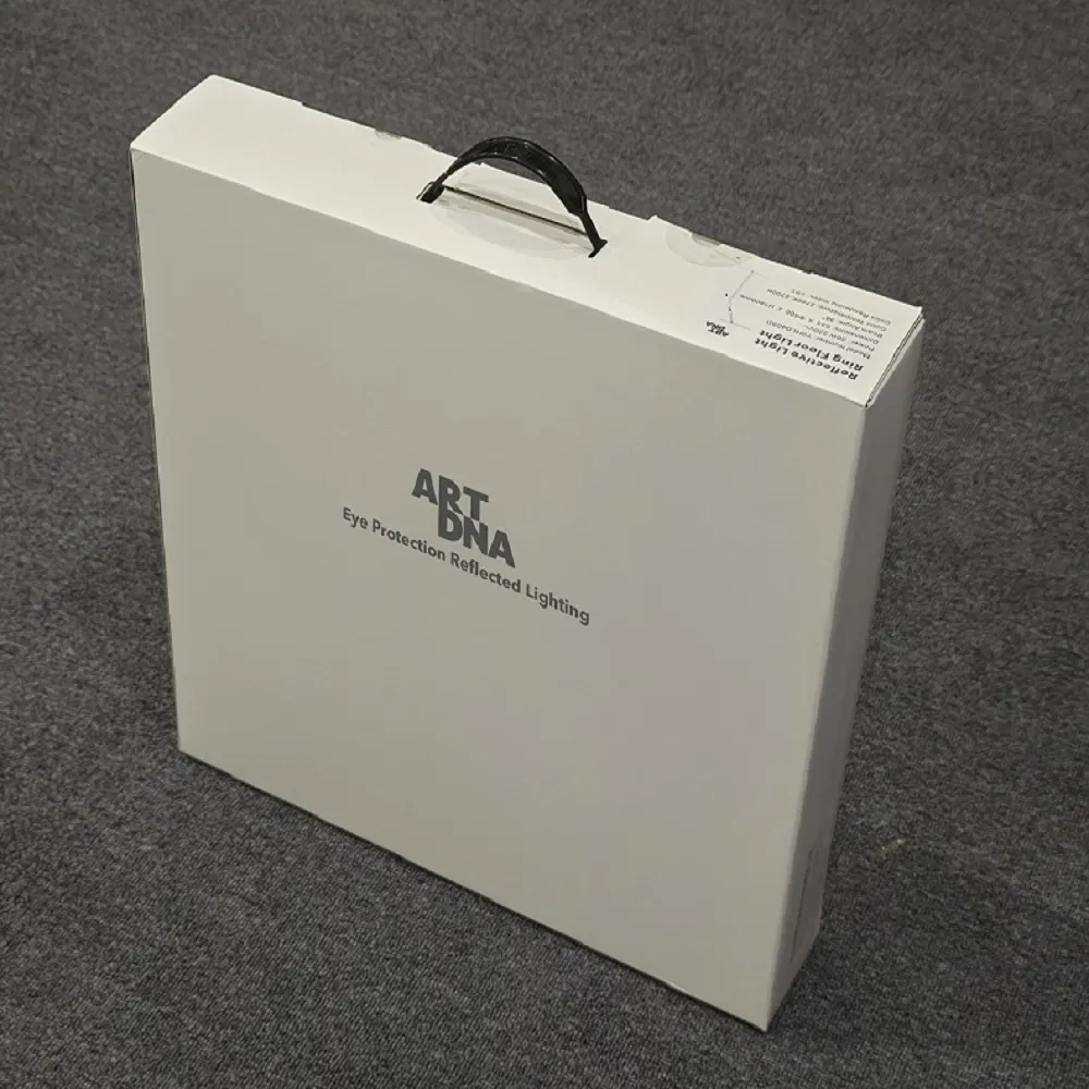 Lifting Pendant Light Packaging