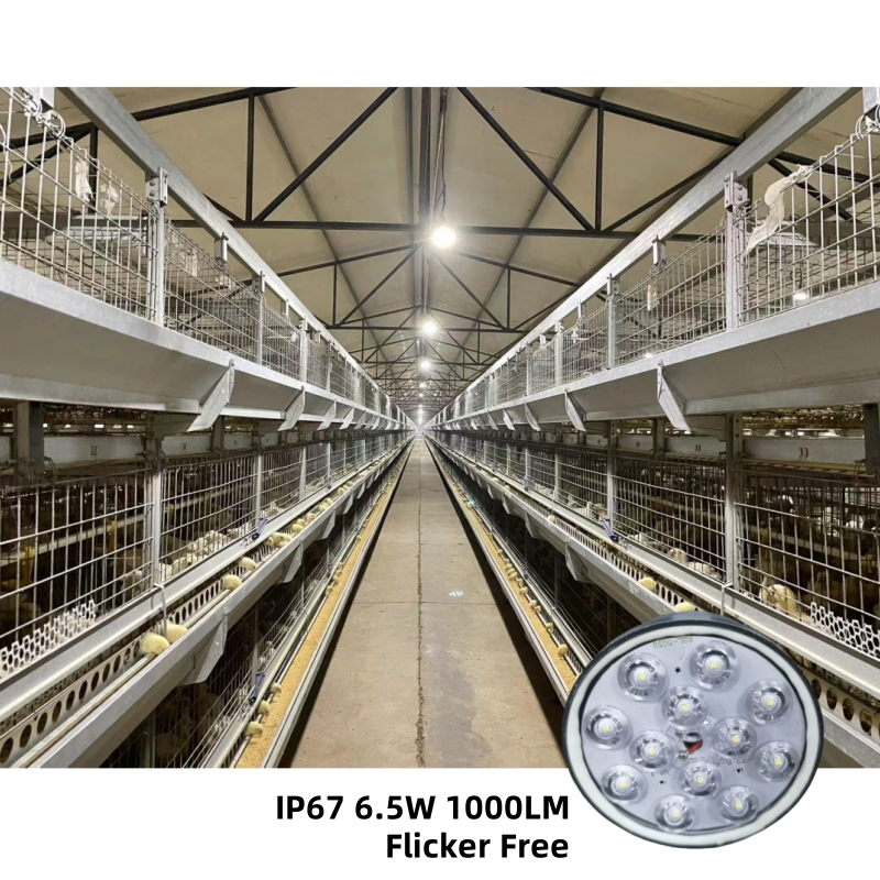 Safe Lighting Dimmable DC36V LED Poultry Light Bulb for Chicken Farm