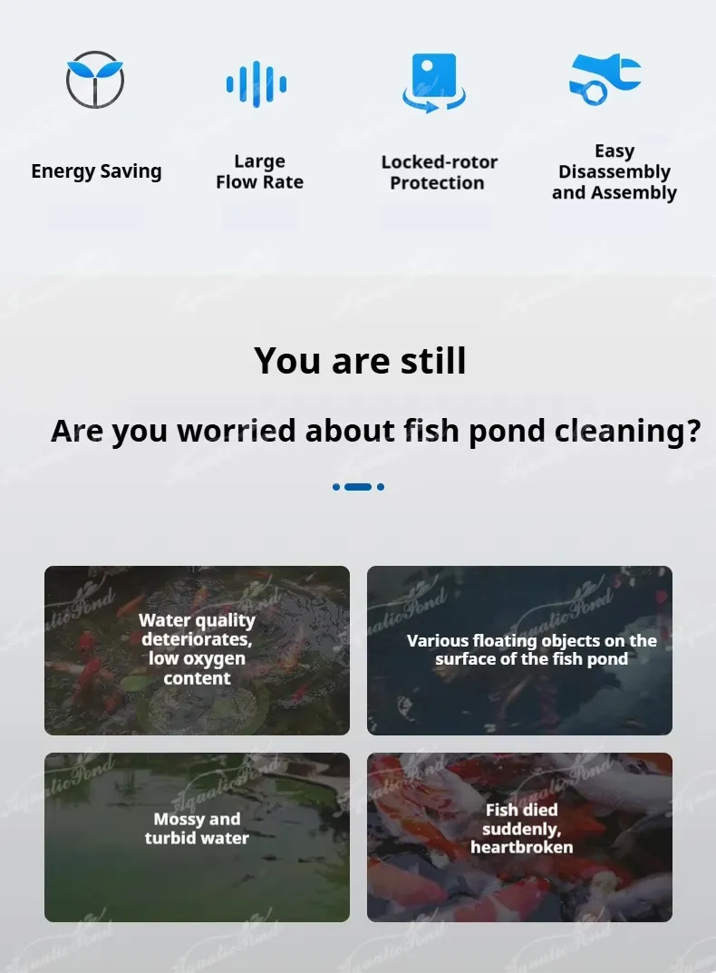 Pond Oxygenation Pump 2