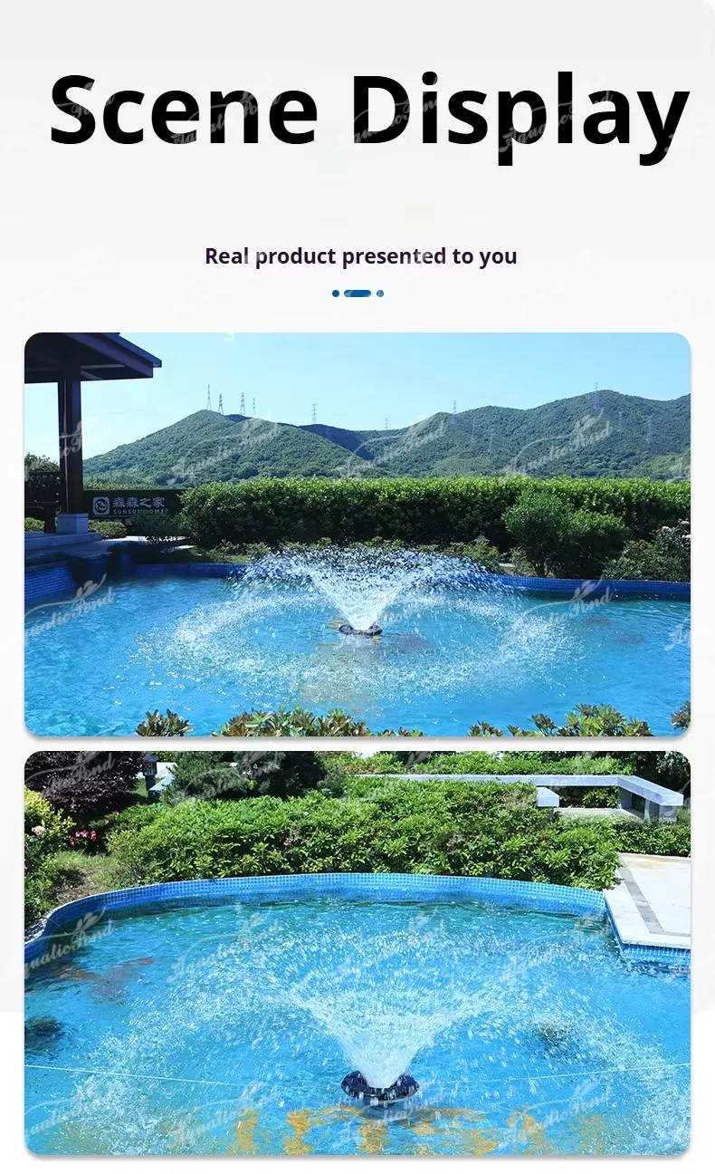 Pond Oxygenation Pump 11