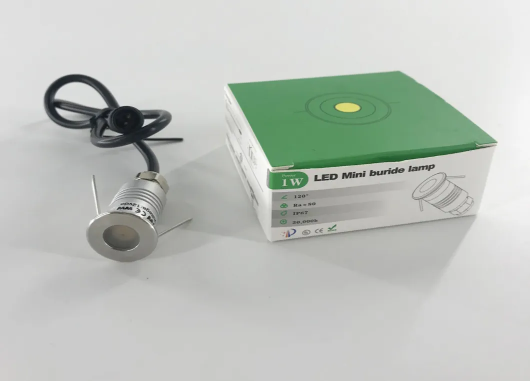 LED In-Ground Light