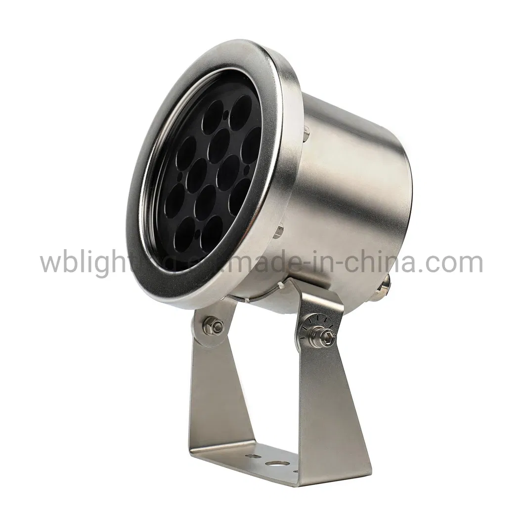 Underwater LED Light View 1