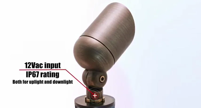 Landscape Lighting Detail 1