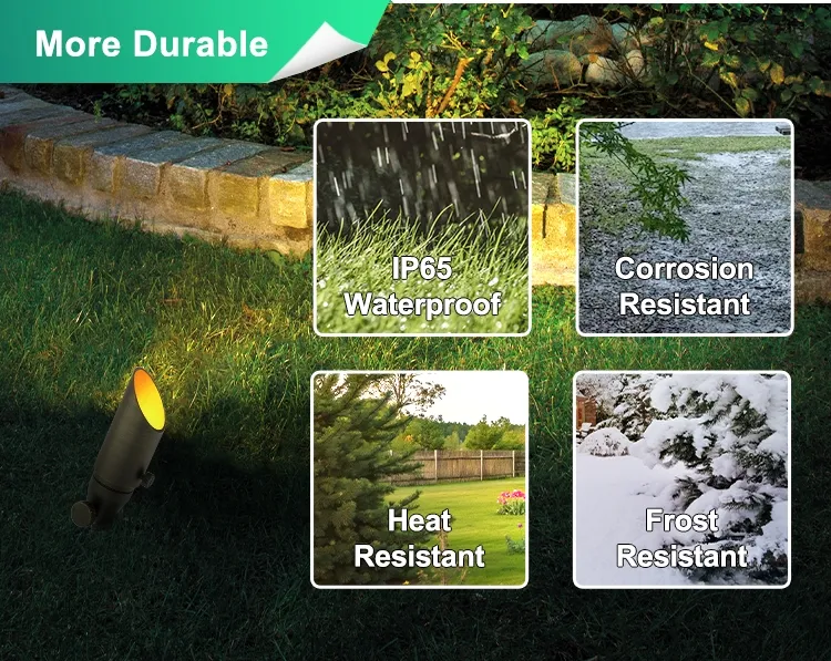 Landscape Spotlights 6