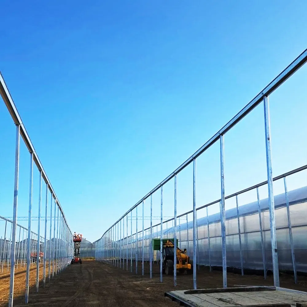 Ai-Controlled Glass Greenhouse with Smart Climate and Lighting Integration
