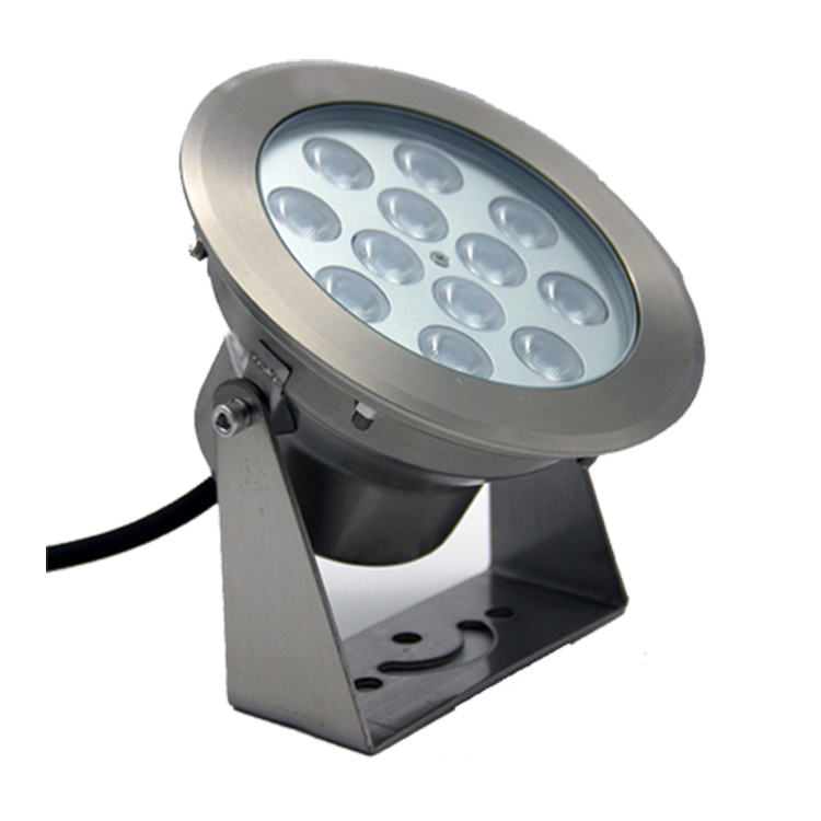 304 316 Stainless Steel IP68 RGB RoHS CE Underwater LED Fountain Lights